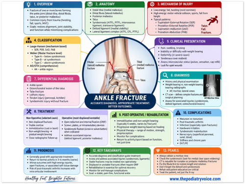 Ankle Fracture patient education infographic poster, full design view