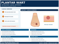 Plantar Wart Clinical Reference patient education infographic poster, full design view