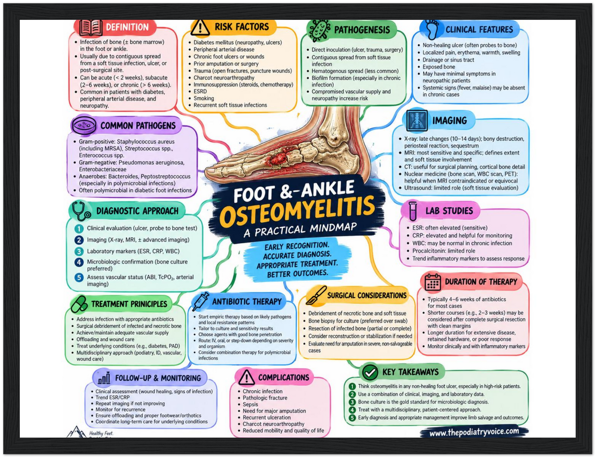 Foot & Ankle Osteomyelitis patient education infographic poster, full design view