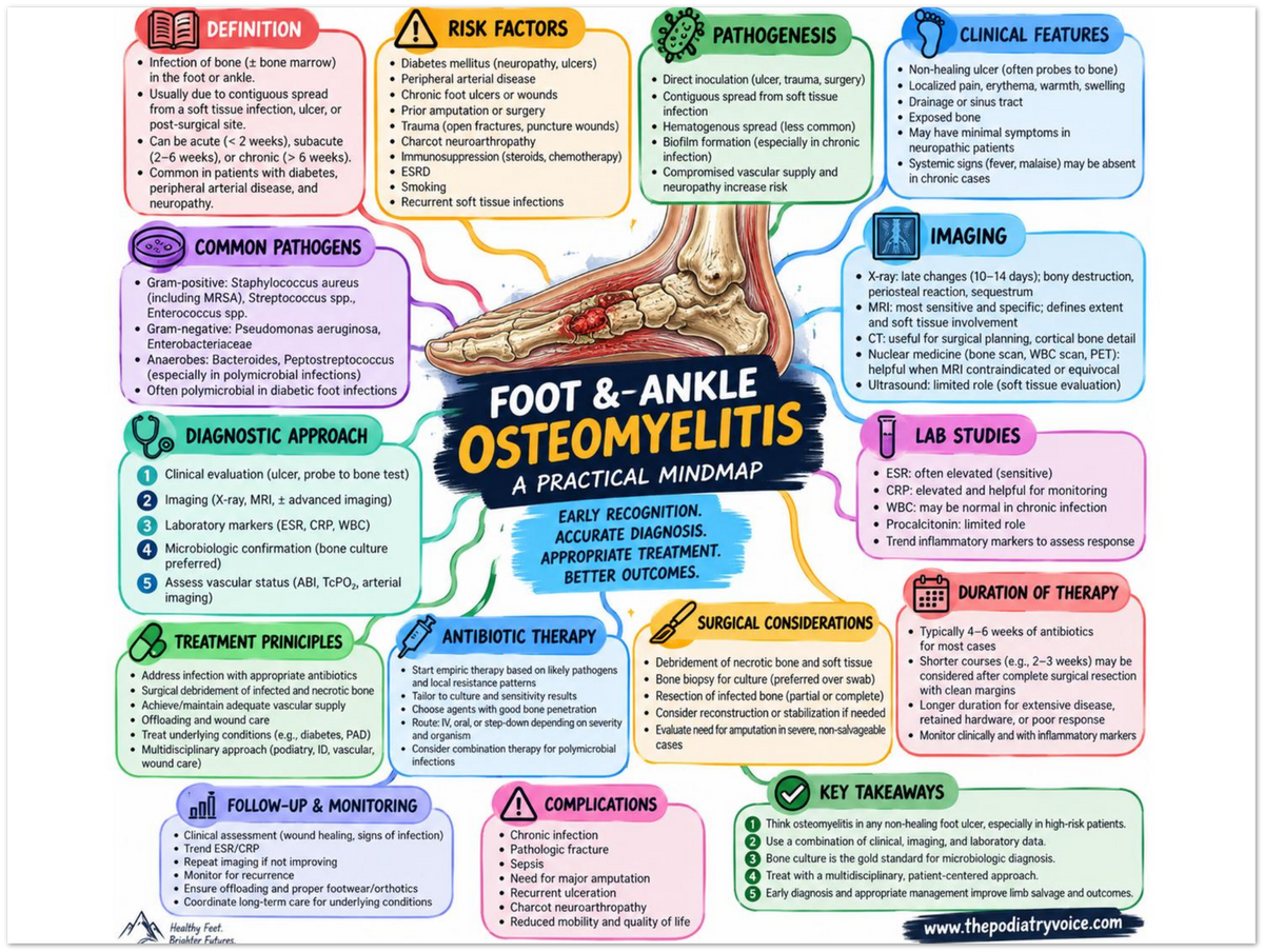 Foot & Ankle Osteomyelitis educational poster covering symptoms, treatment, and prevention