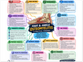 Foot & Ankle Osteomyelitis patient education infographic poster, full design view