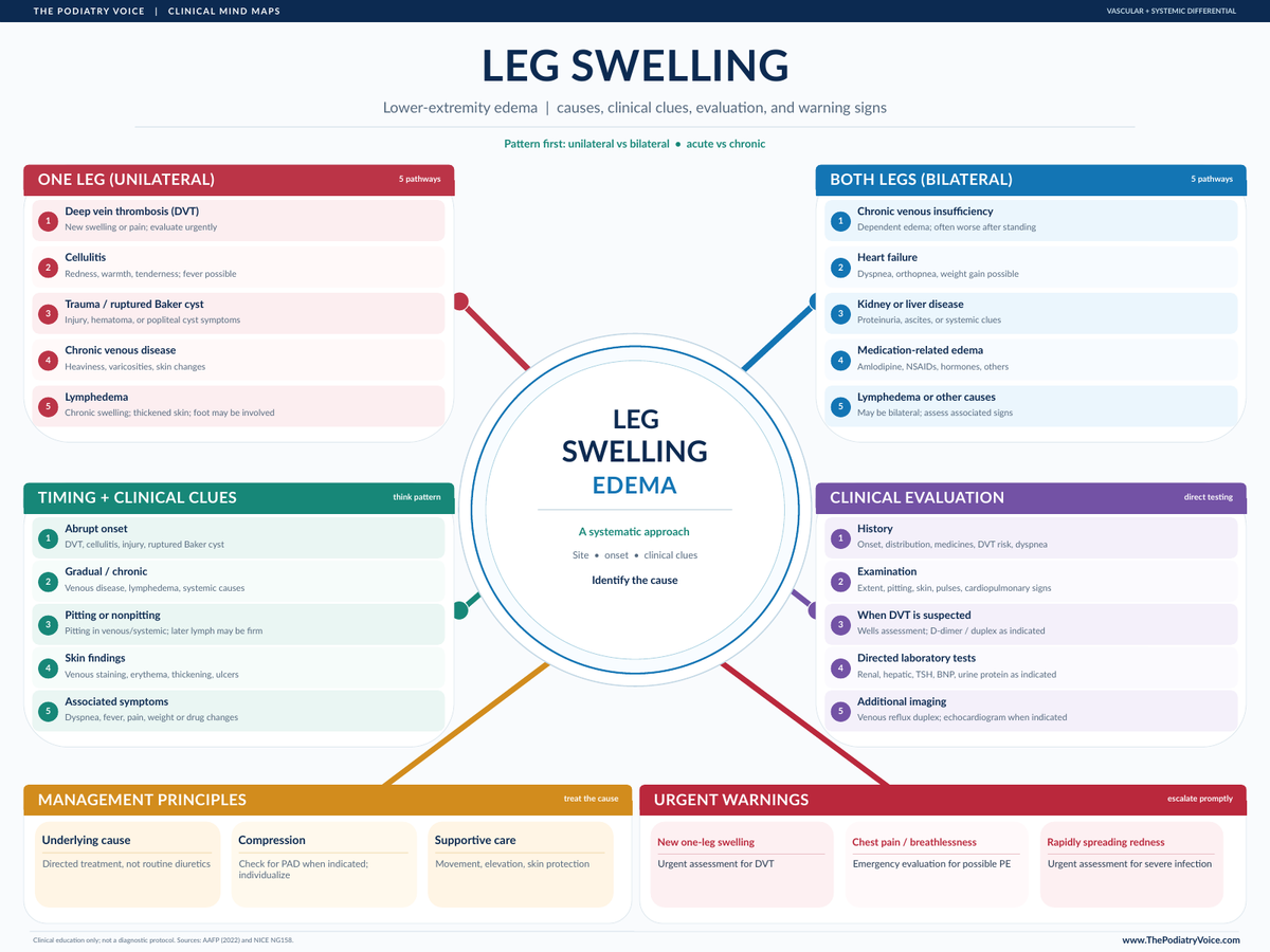 Leg swelling edema clinical mind map poster, one-leg and both-leg swelling causes, evaluation and urgent symptoms