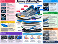 Anatomy of a running shoe medical education poster showing shoe upper heel counter midsole insole outsole and biomechanics