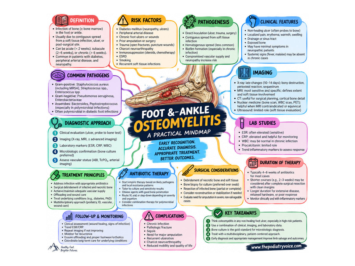 Foot & Ankle Osteomyelitis patient education poster for podiatry clinics